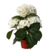 Bellatio Flowers & Plants Kunstplant - Hortensia - Wit - 36 Cm