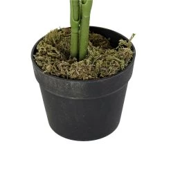 Items Kunstplant Tropische Palm In Bloempot - Groen - 40 X 100 Cm -Home Decoration Store 262ed4b17f504248bf4517c1d9dafee0