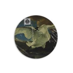 Art For The Home - Canvas Rond - De Bedreigde Zwaan - 70cm -Home Decoration Store 397692a8d2eb4a70ab0e9b10fa94f943