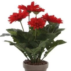 Mica Decorations Kunstplant - Gerbera - Rood - In Pot - 35 Cm -Home Decoration Store 65debc85d78642b1be8e6e577caa41bb