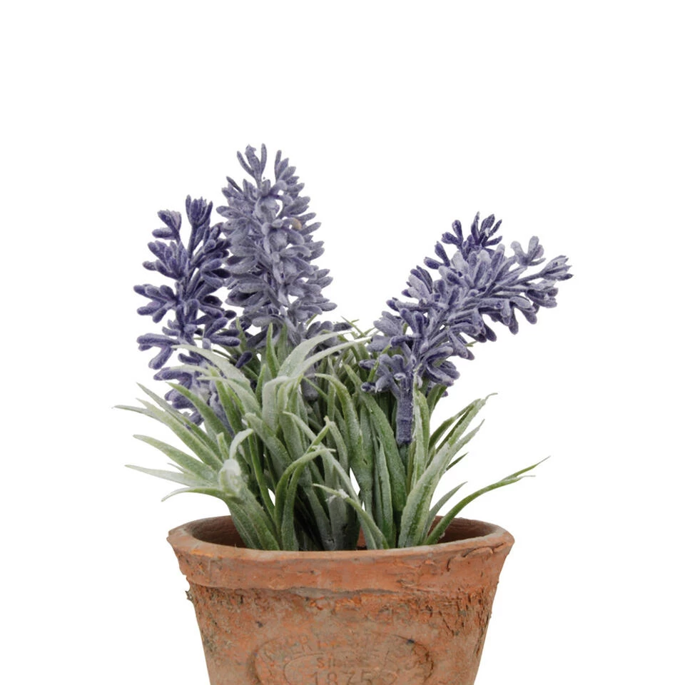 True To Nature Kunstplant - Lavendel - In Terracotta Pot - 15 Cm 2 True To Nature Kunstplant - Lavendel - In Terracotta Pot - 15 Cm - Afbeelding 2