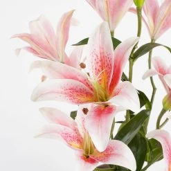 Mica Decorations Kunstplant Tijgerlelie - Roze - 47 Cm - Grijze Pot -Home Decoration Store b47469ad92aa4dd1a769d24fd55d4473