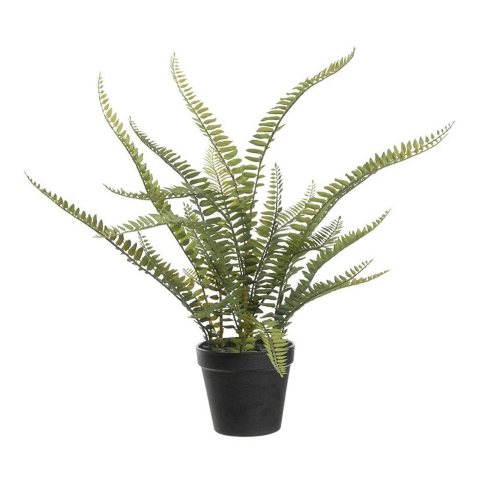 Louis Maes Kunstplant - Varen Nephrolepis - Groen - 50 Cm 2 Louis Maes Kunstplant - Varen Nephrolepis - Groen - 50 Cm - Afbeelding 2