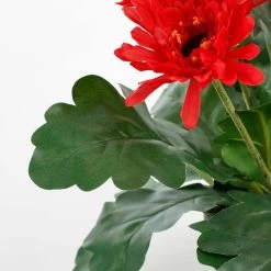 Mica Decorations Kunstplant - Gerbera - Rood - In Pot - 35 Cm -Home Decoration Store ec6c635ec1724ce8a2bcbd88ff7eeaae