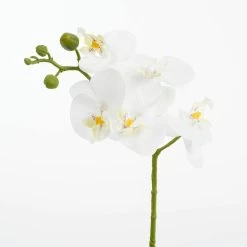 Mica Decorations Kunstplant - Phalaenopsis Orchidee - Wit - 48 Cm 5 Mica Decorations Kunstplant - Phalaenopsis Orchidee - Wit - 48 Cm -Home Decoration Store f410b21746a94a85aa3b7a6e812e5370