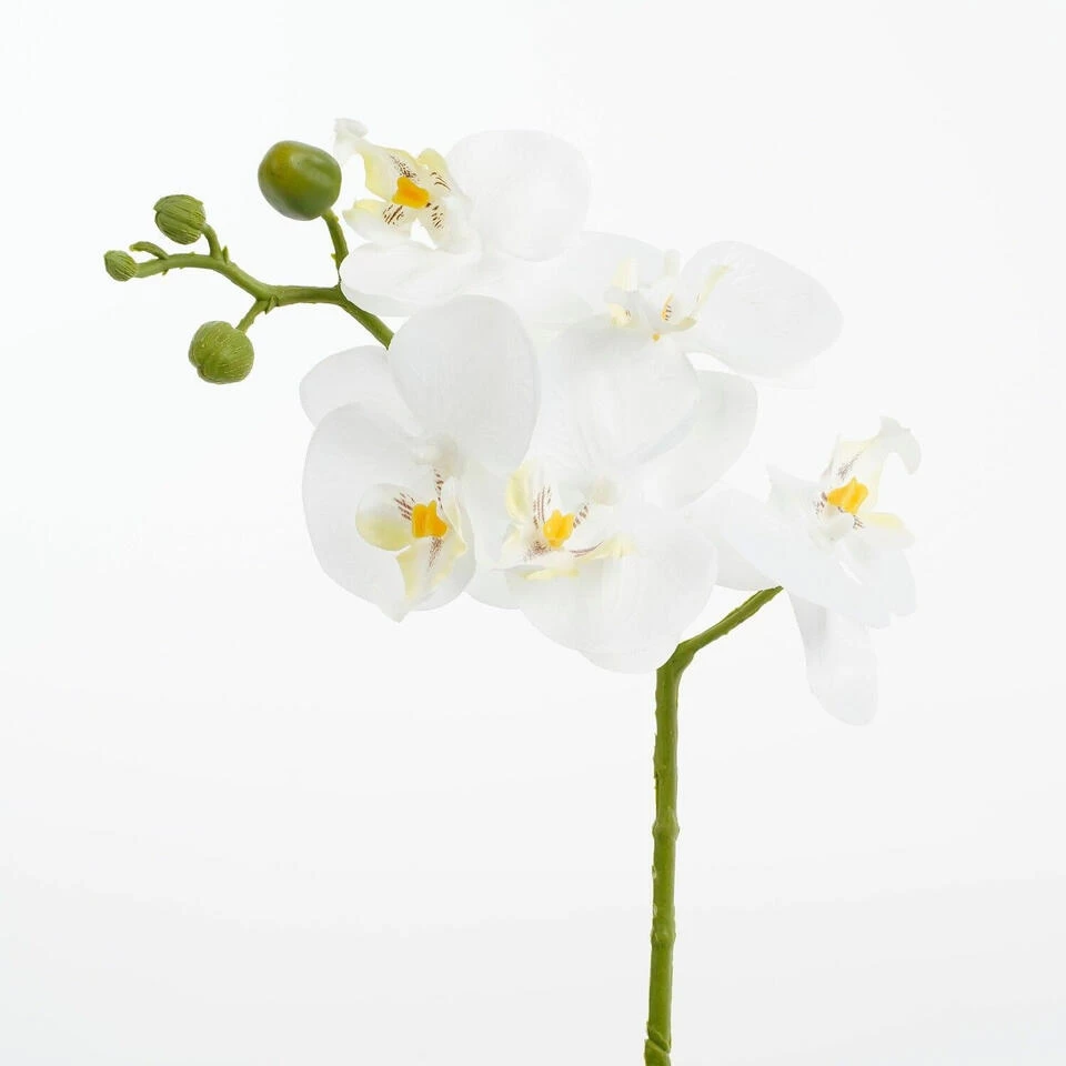 Mica Decorations Kunstplant - Phalaenopsis Orchidee - Wit - 48 Cm 3 Mica Decorations Kunstplant - Phalaenopsis Orchidee - Wit - 48 Cm - Afbeelding 3